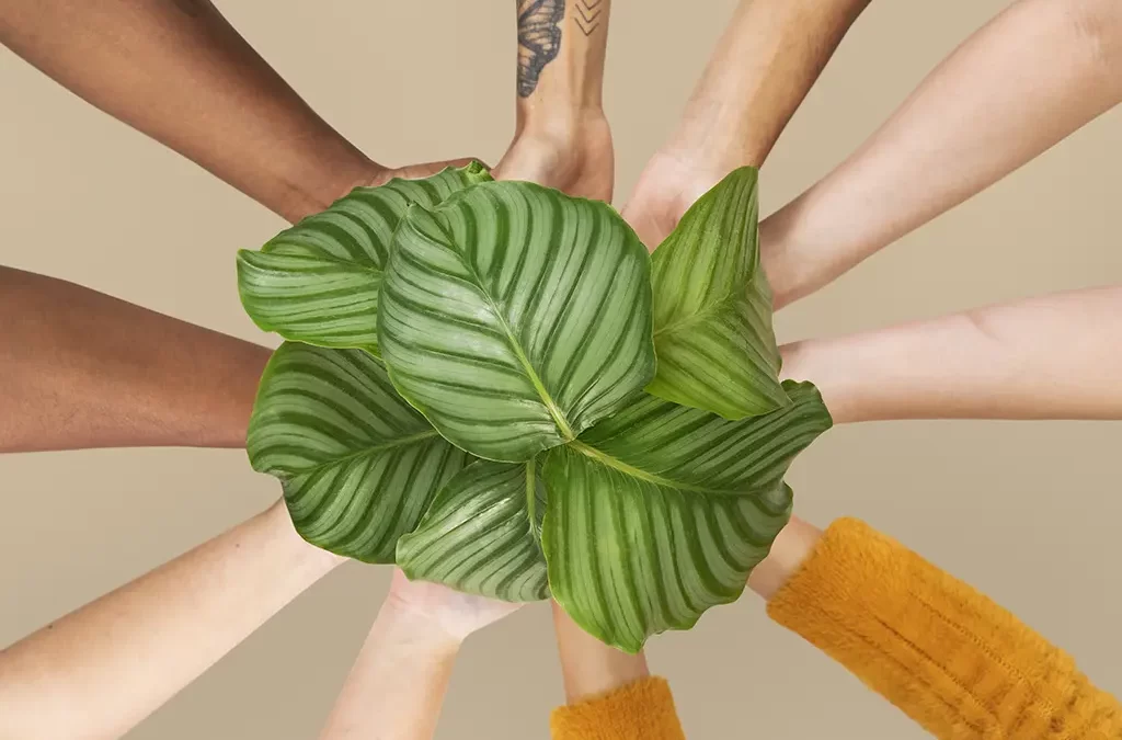 Embracing Diversity: Understanding the Communication Styles of Deaf, Deafened, and Hard of Hearing Individuals